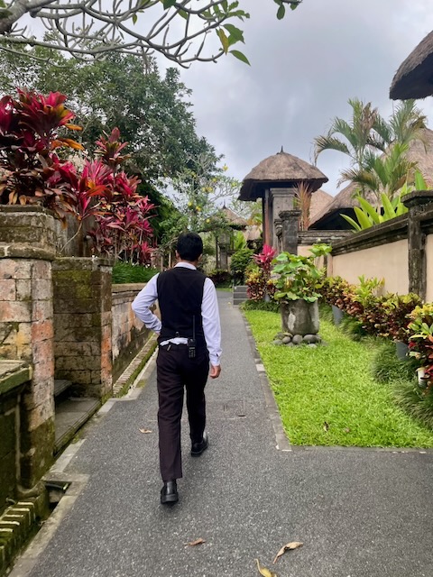 Pedida en Bali